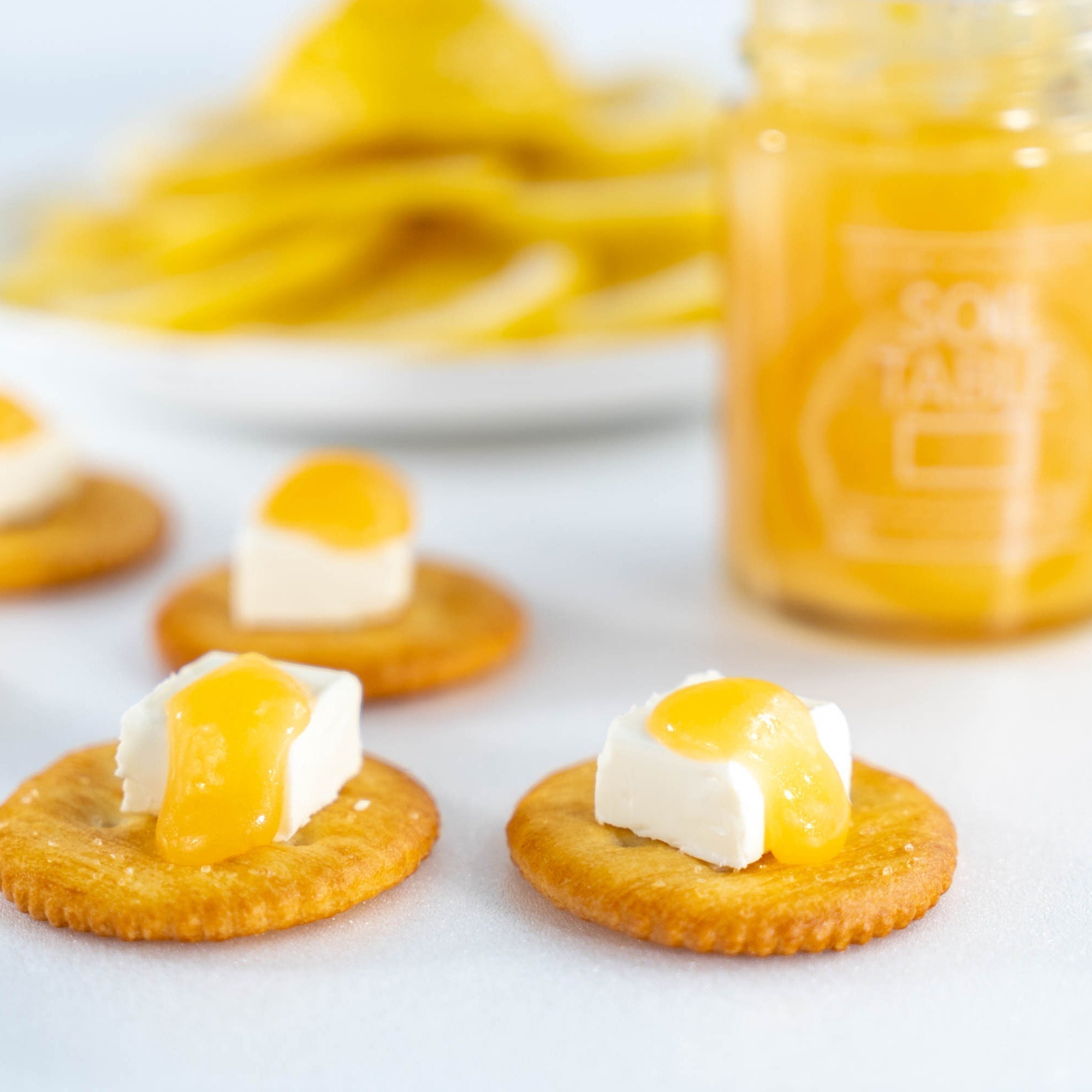 SOIL TABLE —Homemade Jam from Ehime