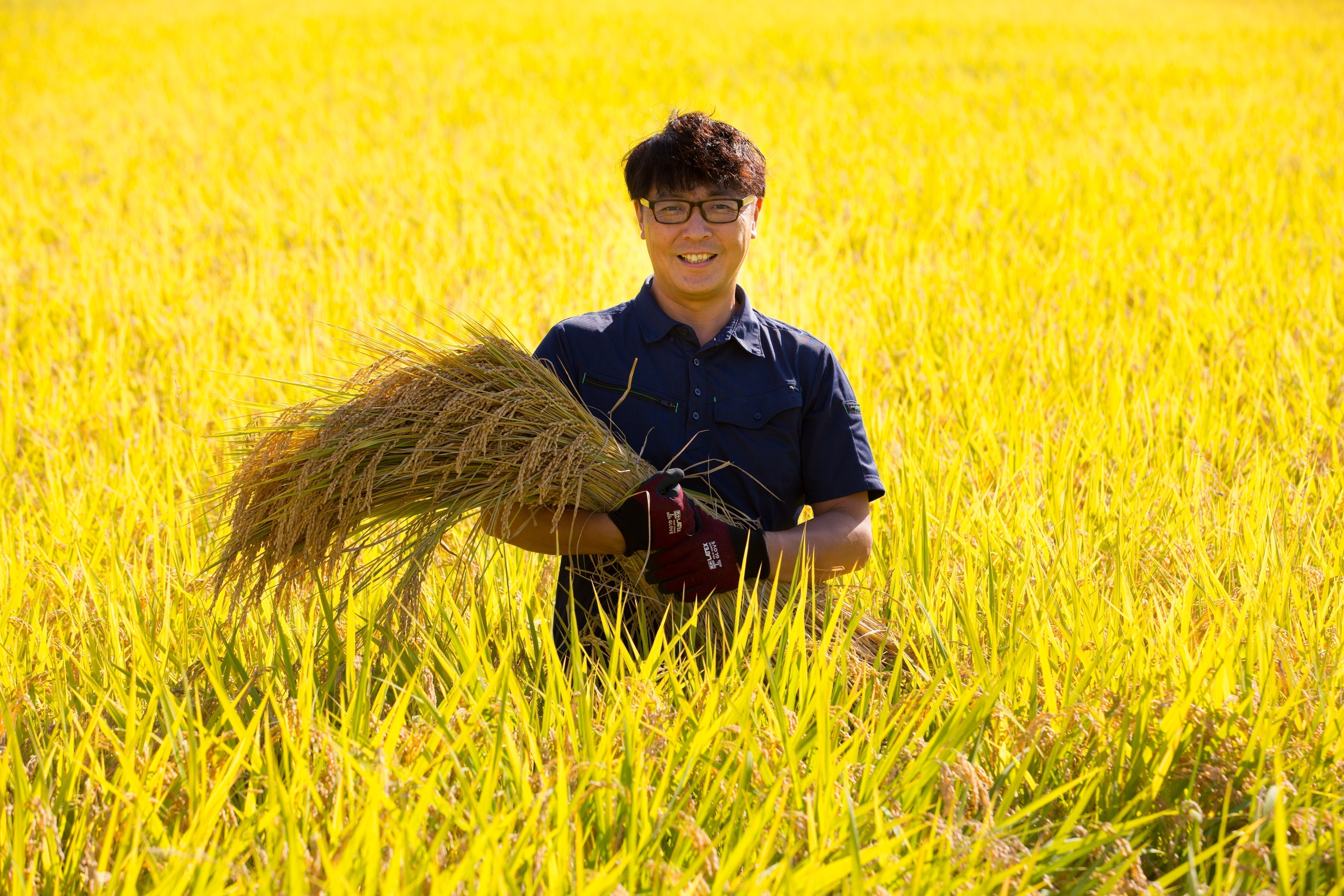 Ba___sho from Yamagata Minori-Garden Rice farm!