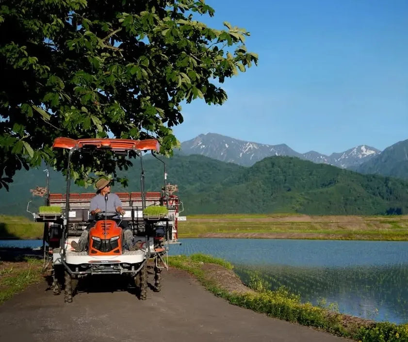 The Ultimate Guide to Uonuma Koshihikari — Why Terroir Matters