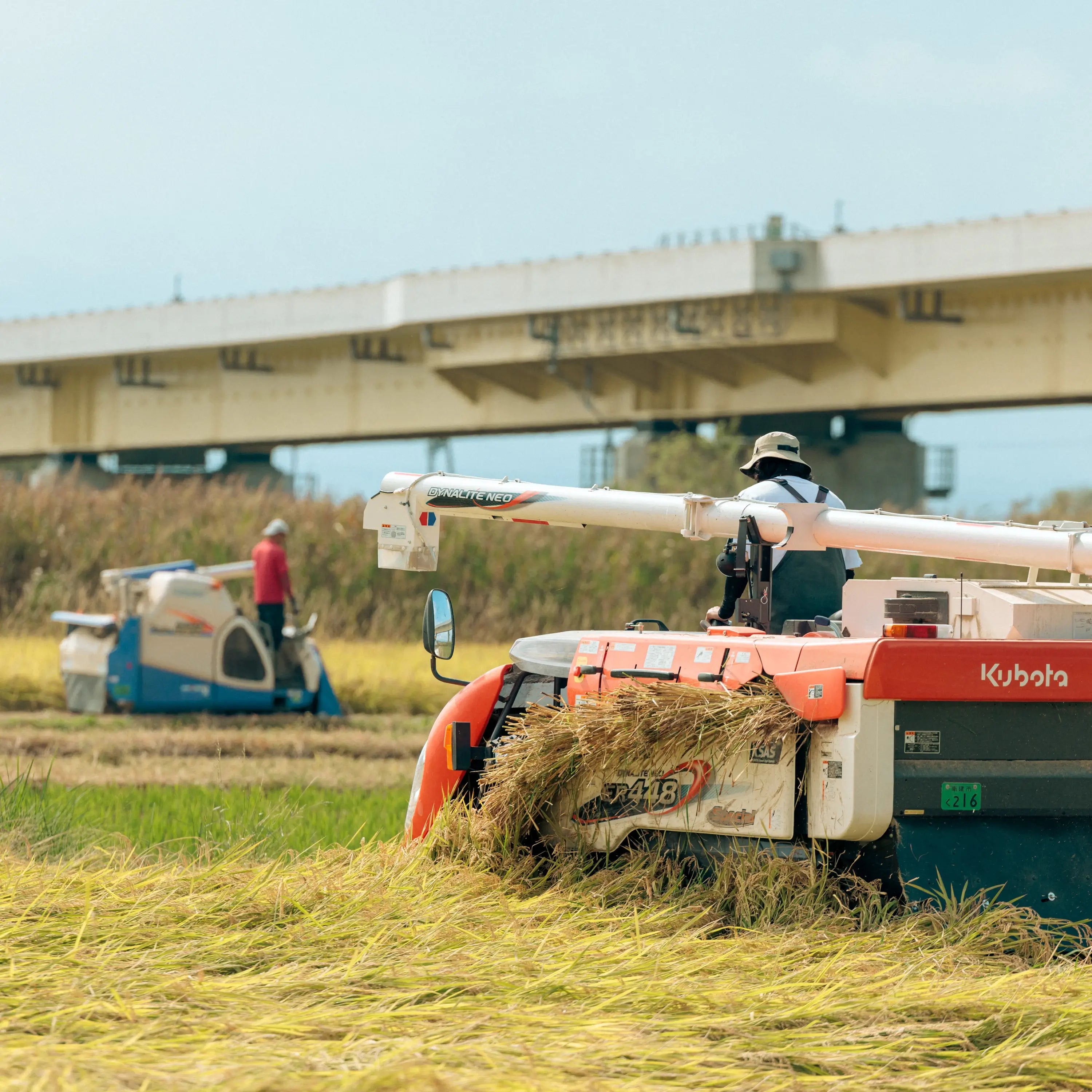 Farmer Watanabe's Rice “Tsuyahime”