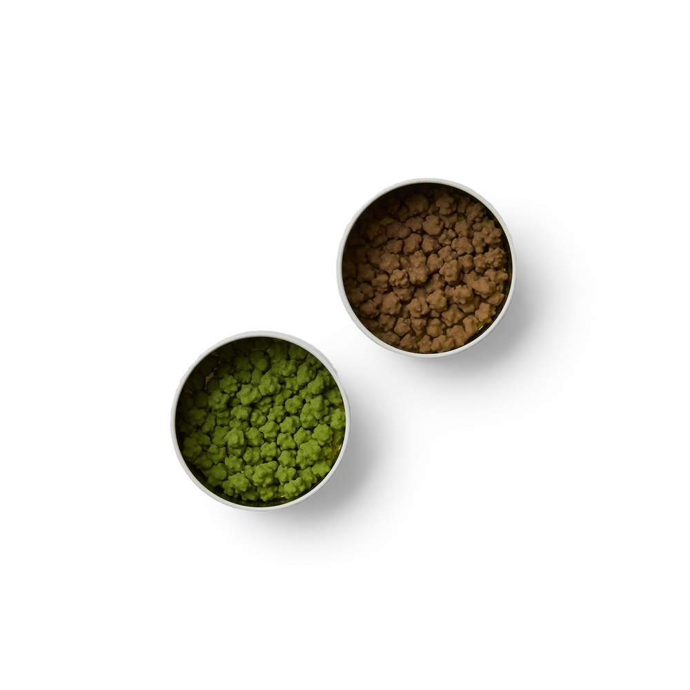 Konpeitō – A Sophisticated Twist on a Timeless Treat