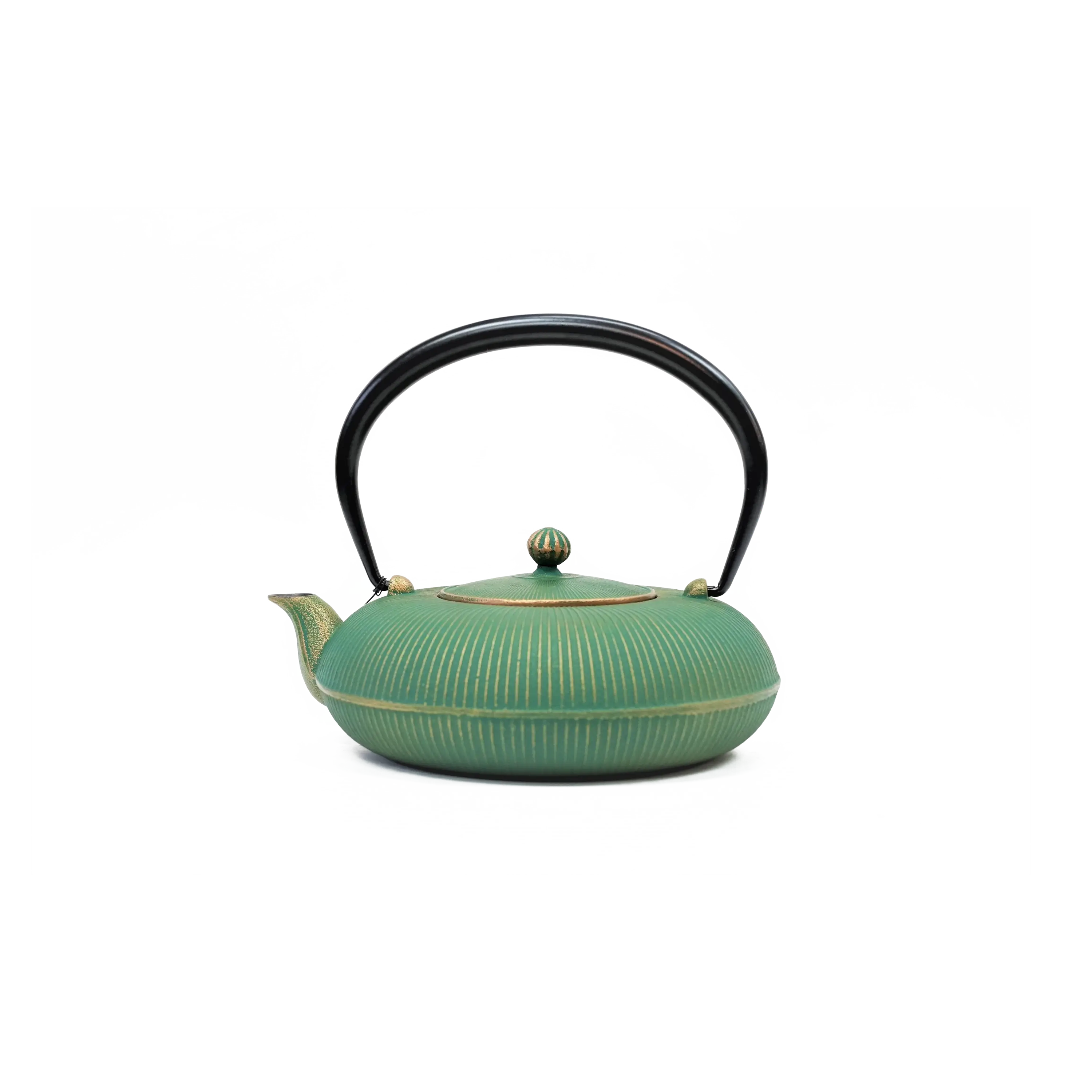 Nambu Tekki Cast Iron Kettle - “Tachime Natsukusa” Summer Grass