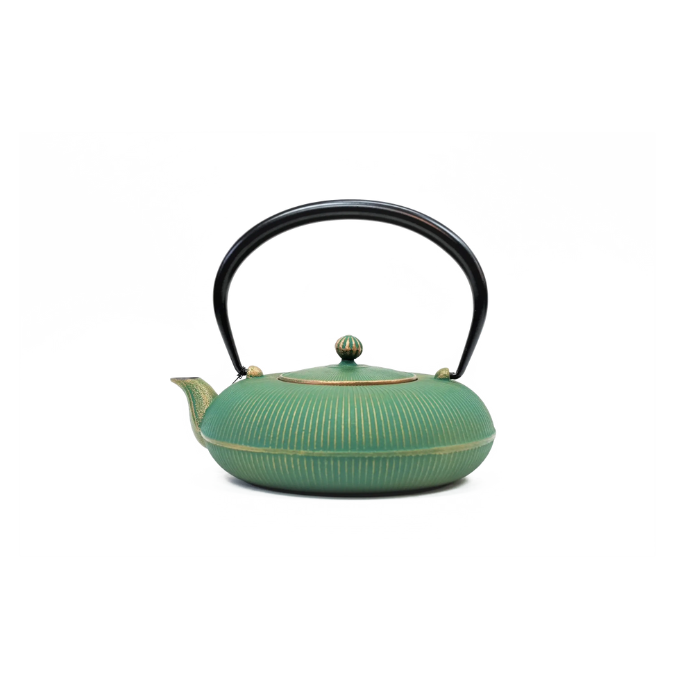 Nambu Tekki Cast Iron Kettle - “Tachime Natsukusa” Summer Grass