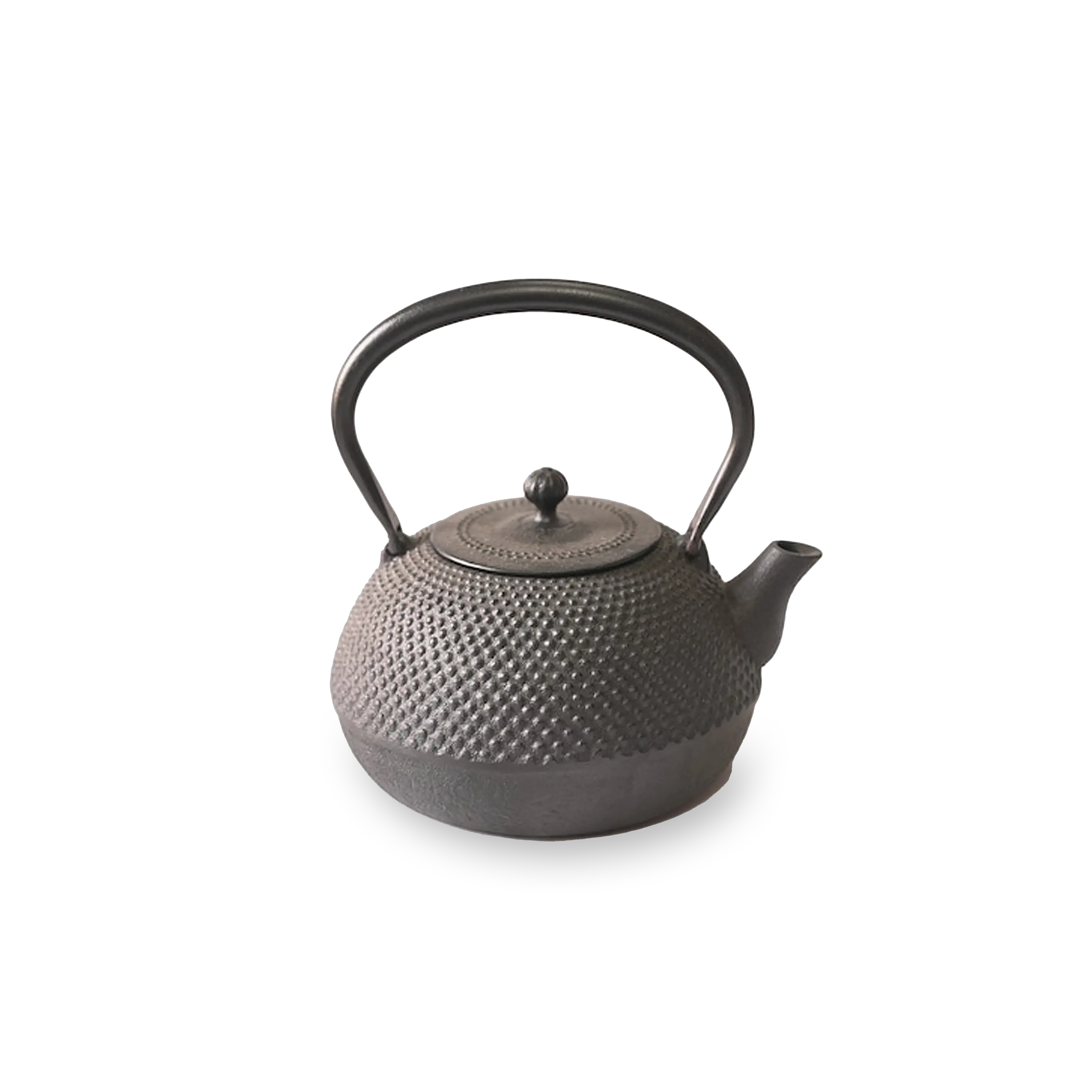 Nambu Tekki Iron Kettle - “Heisei Maru Arare”