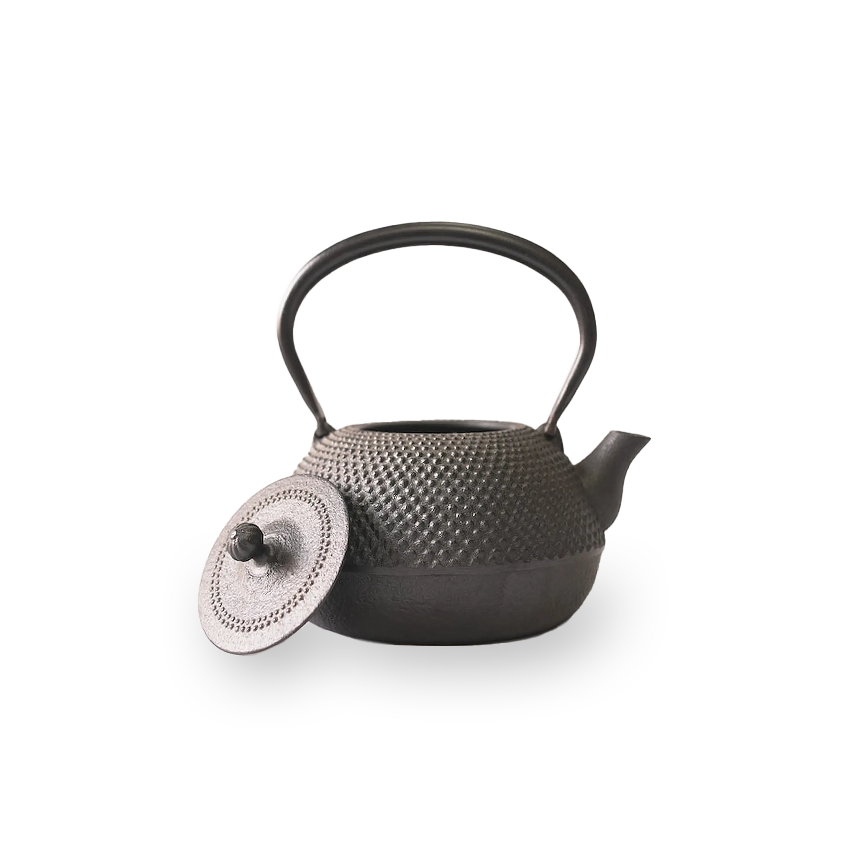 Nambu Tekki Iron Kettle - “Heisei Maru Arare”